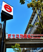 户型和F户型水岸洋房更是采用大牌精拆交付